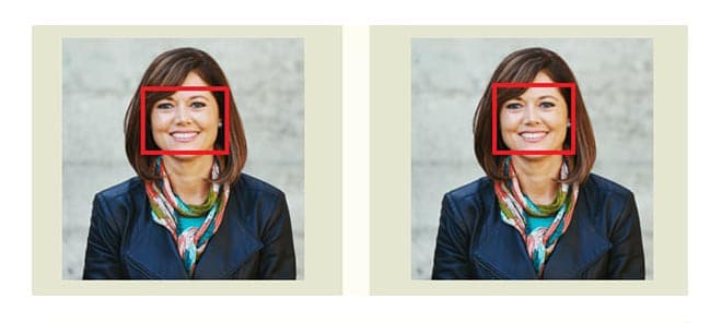 face verification